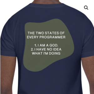 Two States of Programmer - Unisex T-Shirt